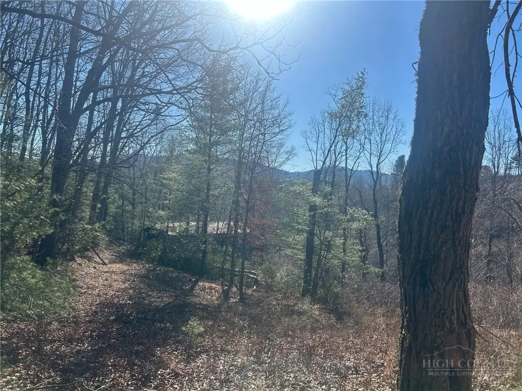 7889 Old Highway 16, Crumpler, NC 28617 - #1