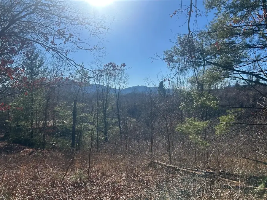 7889 Old Highway 16, Crumpler, NC 28617 - #2