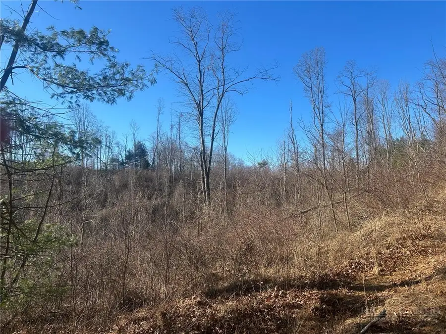 7889 Old Highway 16, Crumpler, NC 28617 - #3