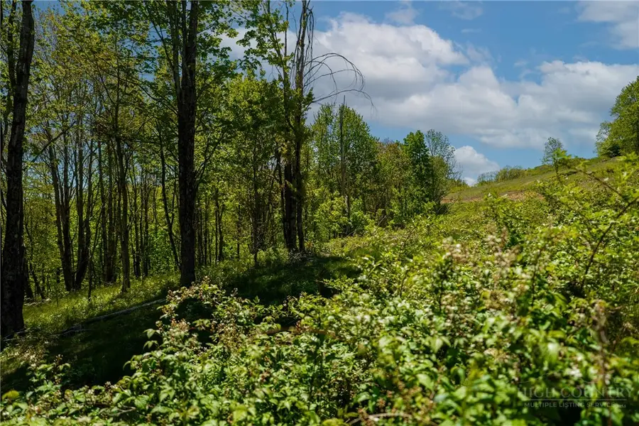 Lot 86 Featherwood Trail, Banner Elk, NC 28604 - #2