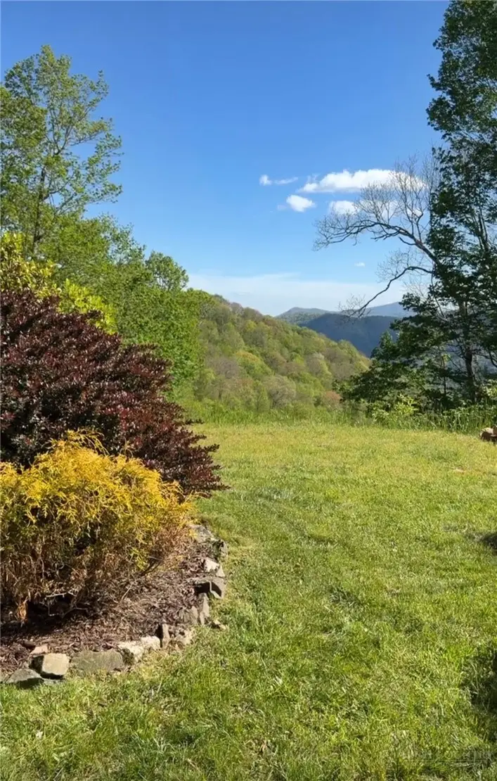 950 Atria Lane, Newland, NC 28657 - #2