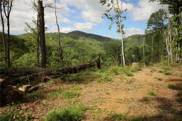 461 Reuben Wooten Road, Banner Elk, NC 28604
