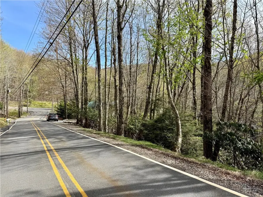 308 Overbrook Trail, Beech Mountain, NC 28604 - #2