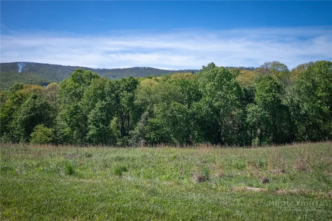 Lot 108 Eagle Park Drive, Banner Elk, NC 28604 - #1