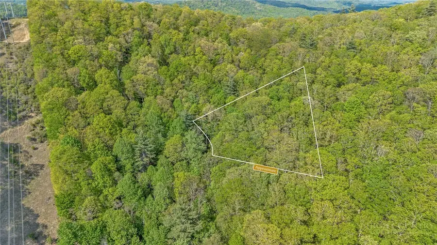 0 Mile High Lake Road, West Jefferson, NC 28694 - #3