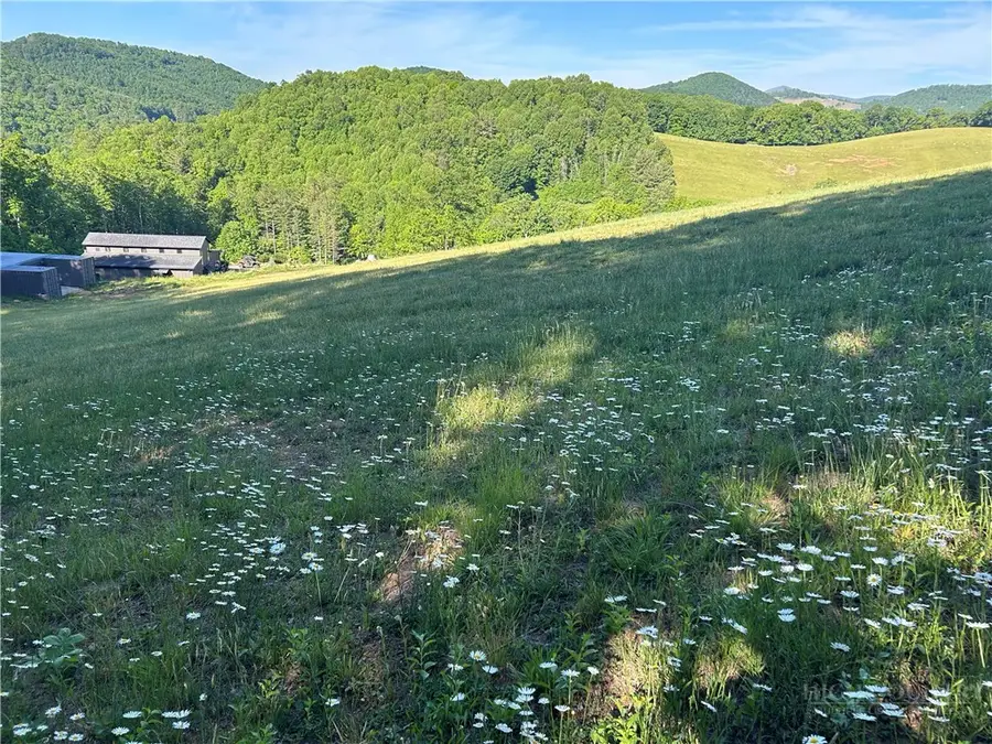 509 Grant Houck Road, Todd, NC 28684 - #2