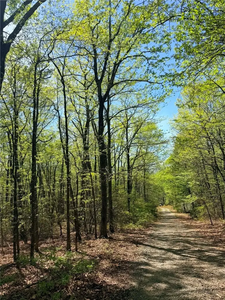 TBD Raven Ridge Trail, Dobson, NC 27017 - #1