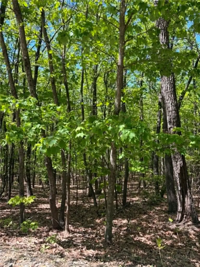 TBD Raven Ridge Trail, Dobson, NC 27017 - #3