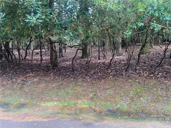 18-C Buchanan Street, Roaring Gap, NC 28668