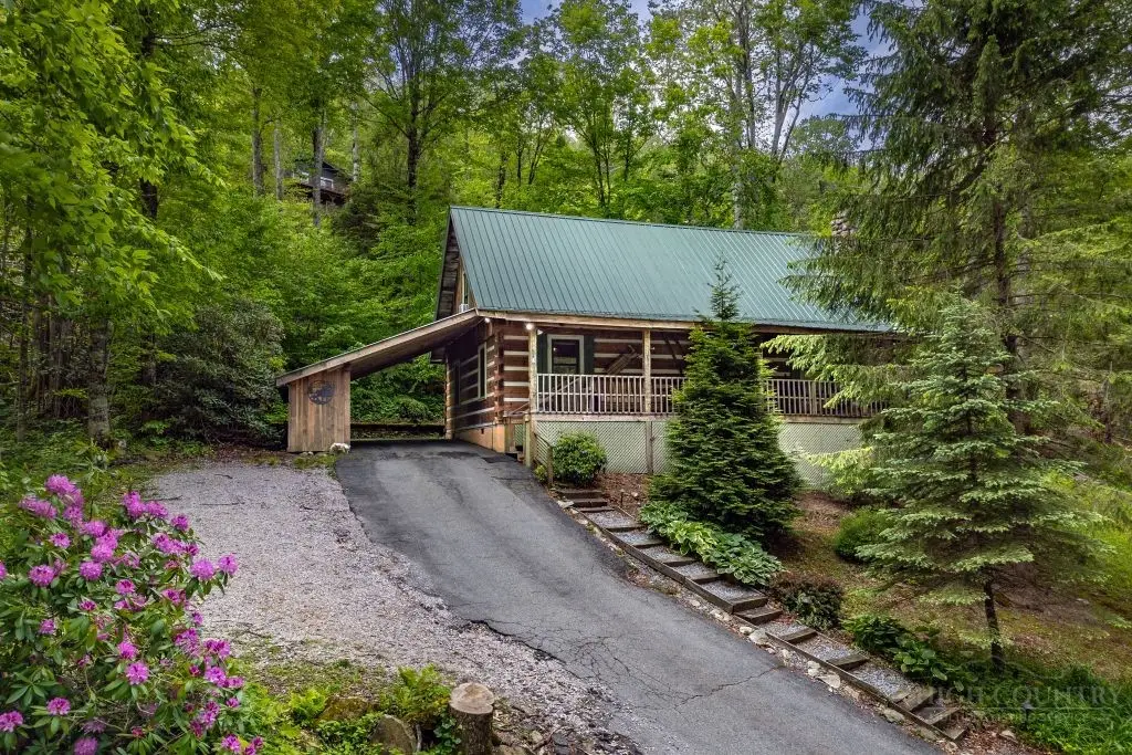 110 Forest Run, Sugar Mountain, NC 28604 - #1