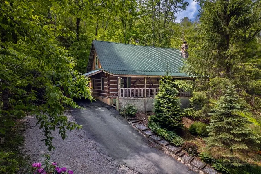 110 Forest Run, Sugar Mountain, NC 28604 - #2