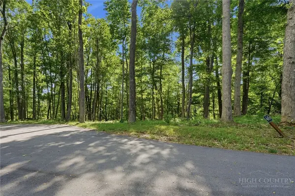 Lot 46 Poplar Forest Drive, Boone, NC 28604