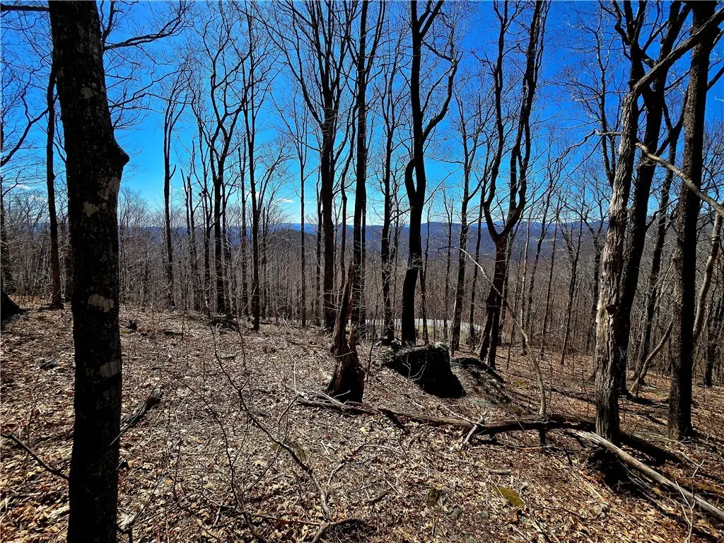 Lot 78 Elk Creek Mountain Parkway, Todd, NC 28684 - #1