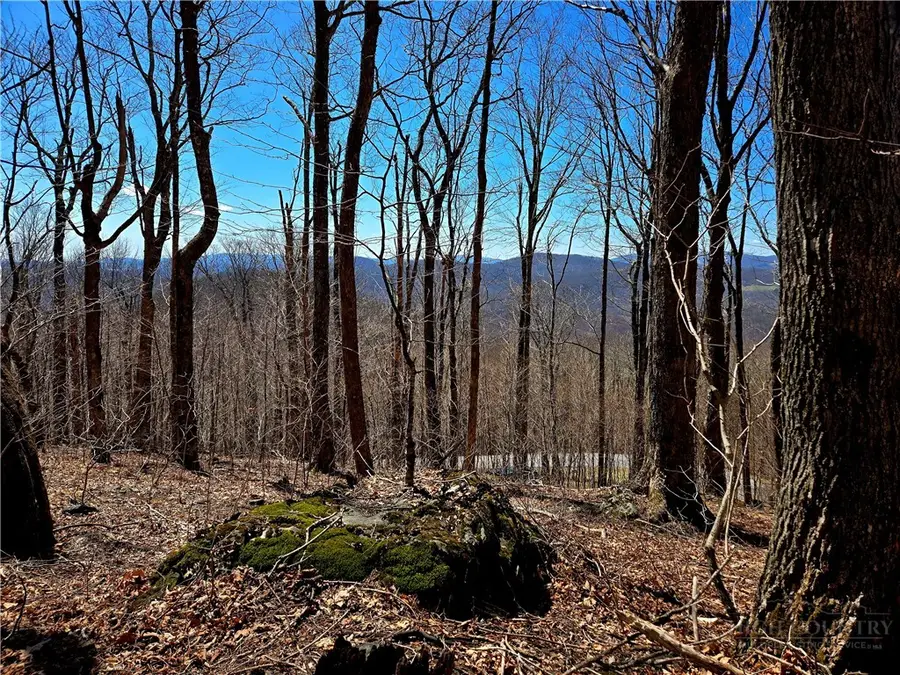 Lot 78 Elk Creek Mountain Parkway, Todd, NC 28684 - #2