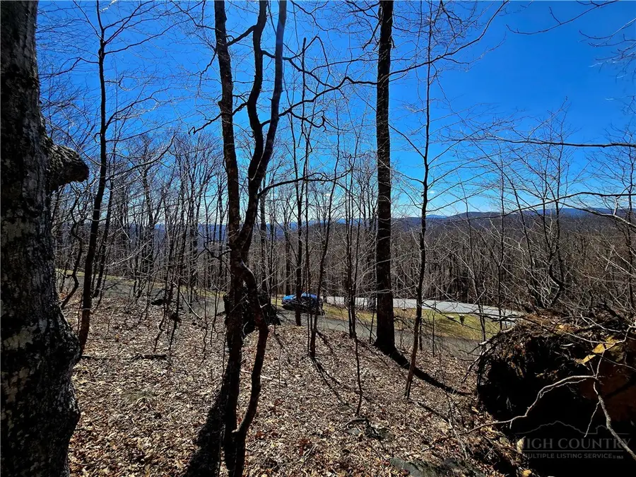 Lot 78 Elk Creek Mountain Parkway, Todd, NC 28684 - #3