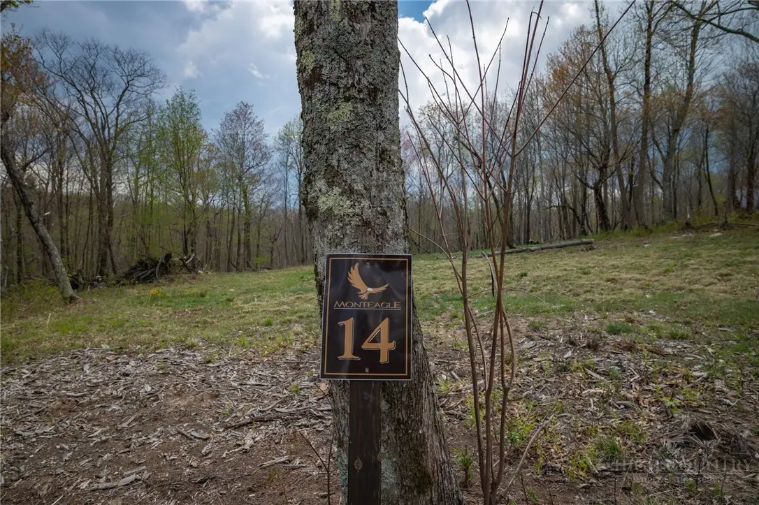 LOT 14 Great Sky Drive, Banner Elk, NC 28604 - #1
