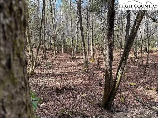 Lot 23 Holly Run, Glade Valley, NC 28627