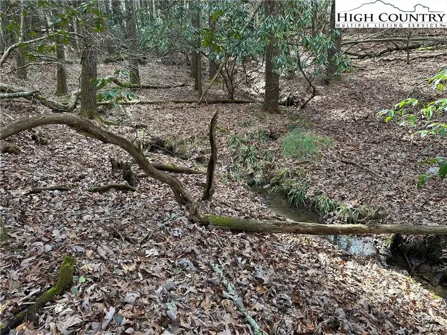 Lot 23 Holly Run, Glade Valley, NC 28627 - #2