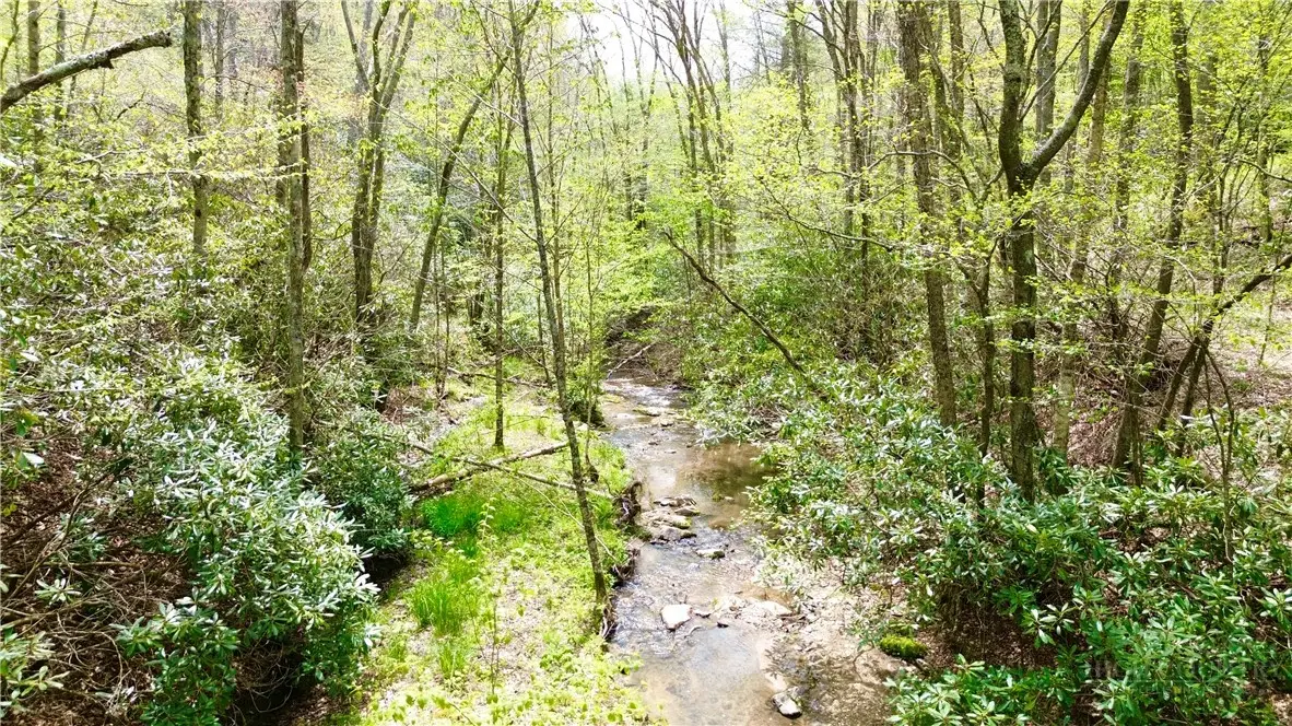 TBD Greer Town Road, Lansing, NC 28643 - #1