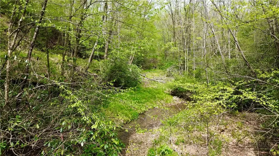 TBD Greer Town Road, Lansing, NC 28643 - #2