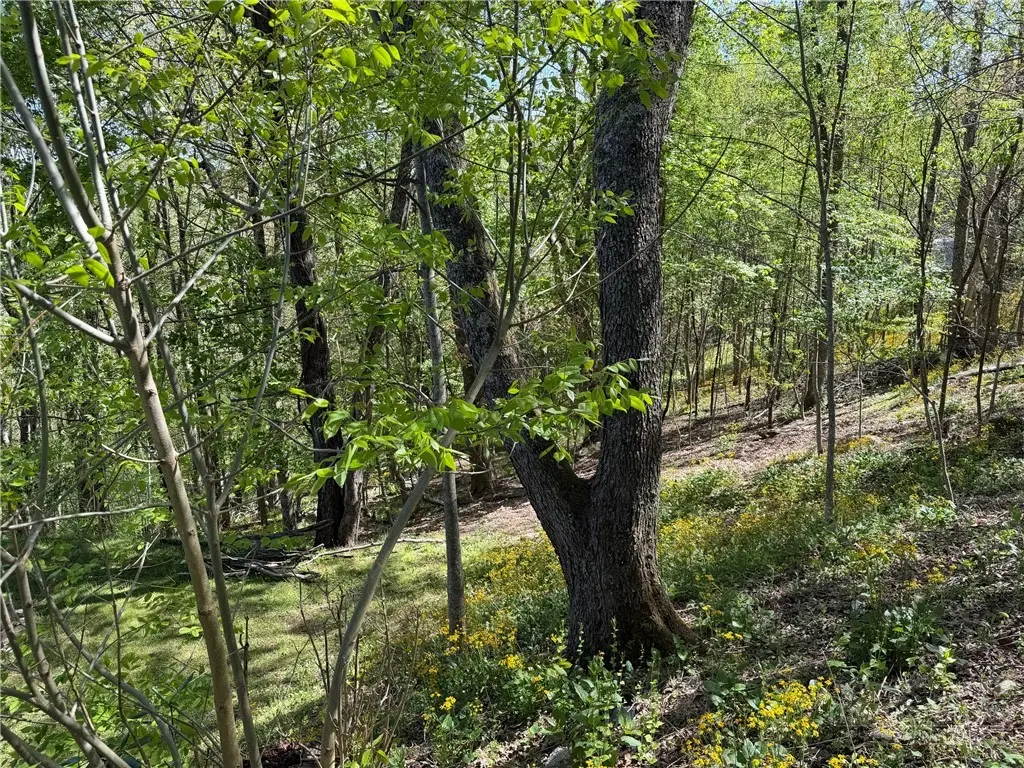 TBD Ski Mountain Road, Blowing Rock, NC 28605 - #1