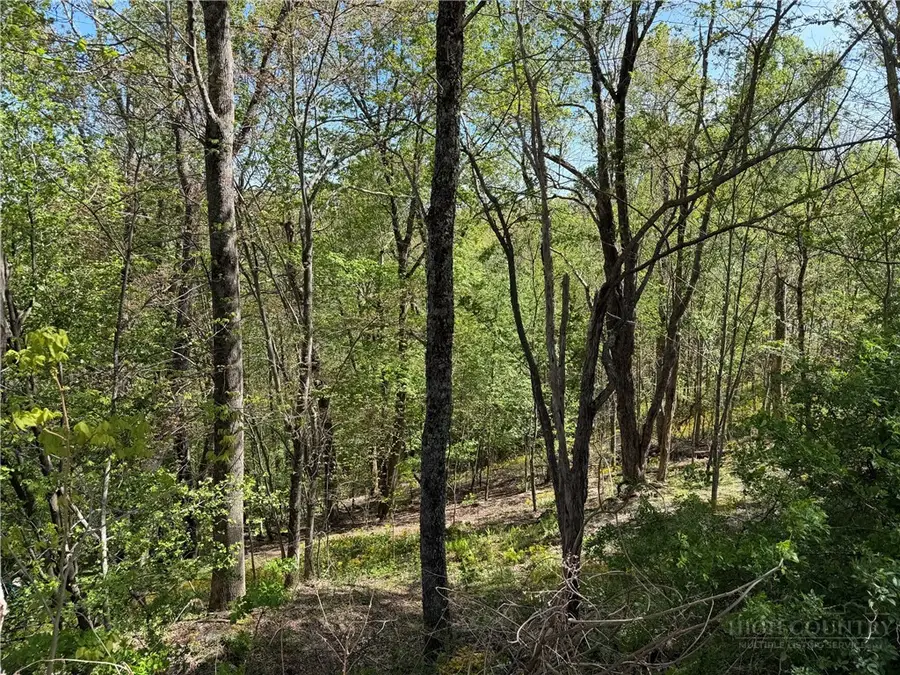 TBD Ski Mountain Road, Blowing Rock, NC 28605 - #3