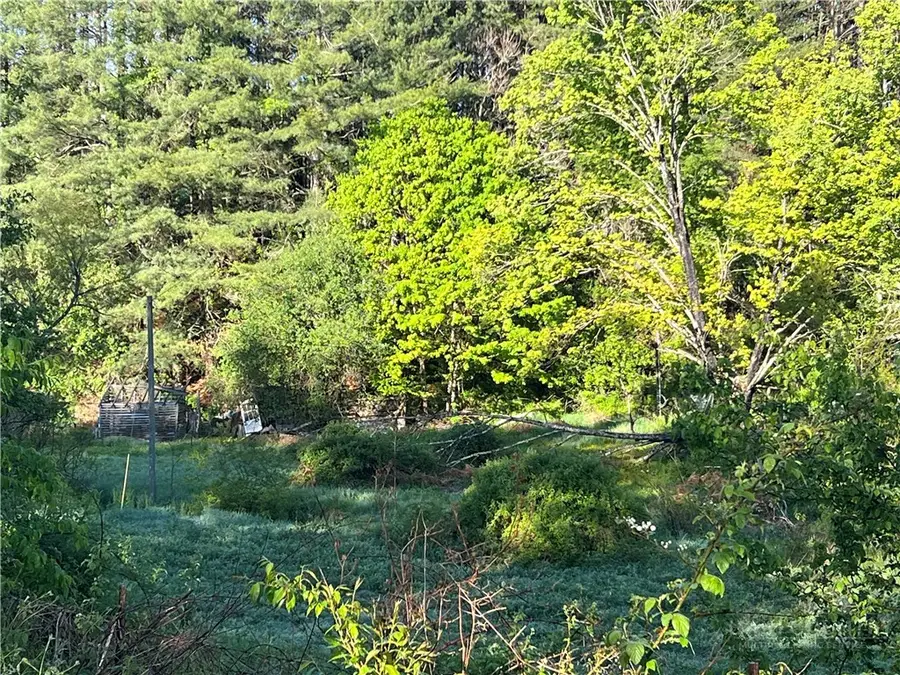 TBD John Halsey Road, Grassy Creek, NC 28631 - #3