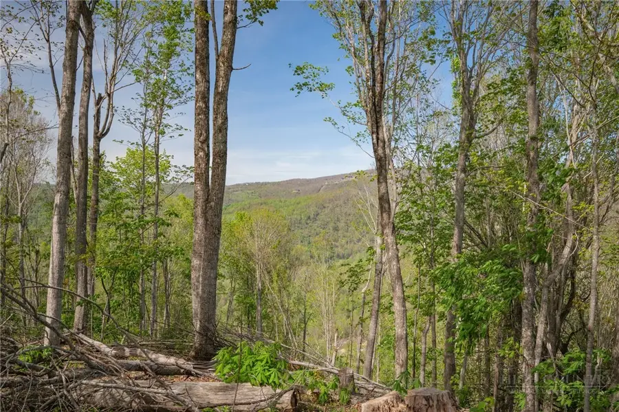 140 Old Forge Trail, Elk Park, NC 28622 - #3