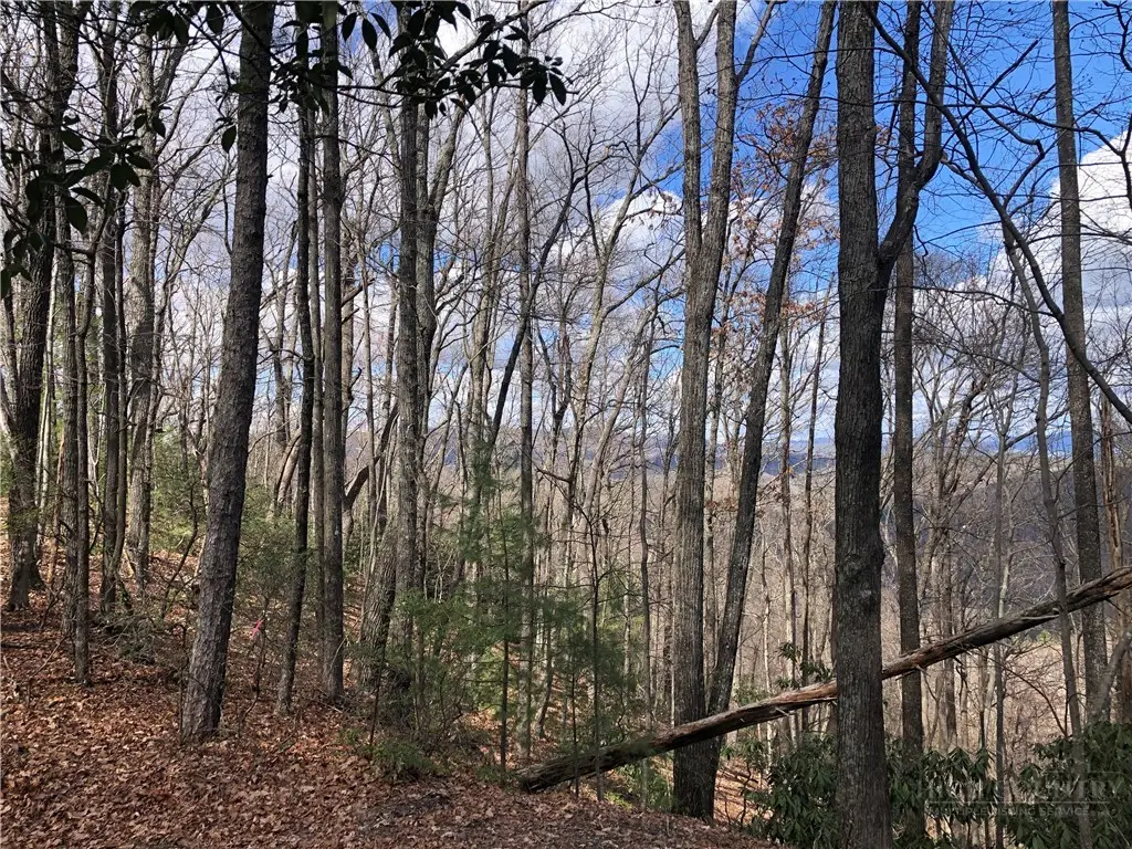 Lot 21 Bobcat Mountain Road, Purlear, NC 28665 - #1