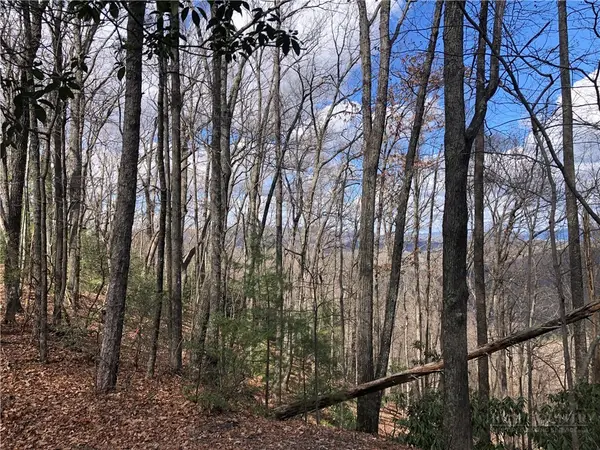 Lot 21 Bobcat Mountain Road, Purlear, NC 28665
