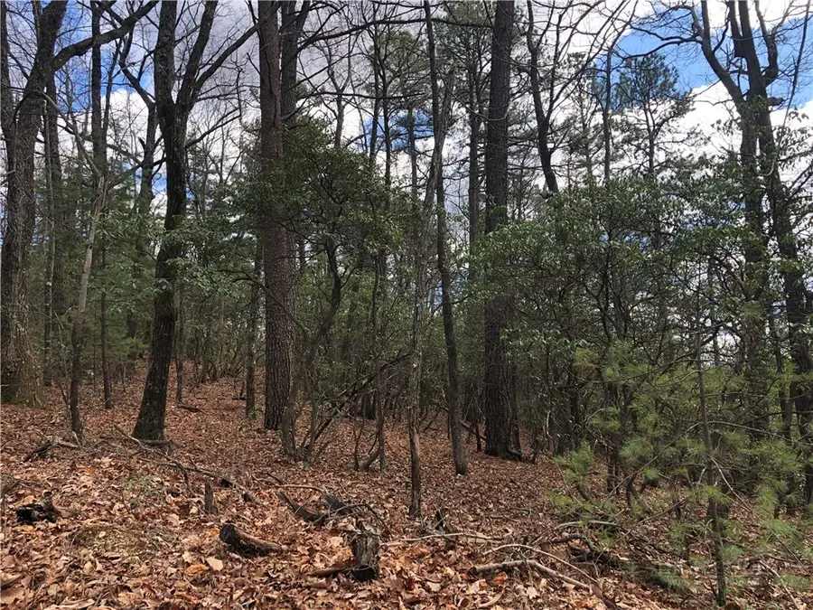 Lot 21 Bobcat Mountain Road, Purlear, NC 28665 - #2