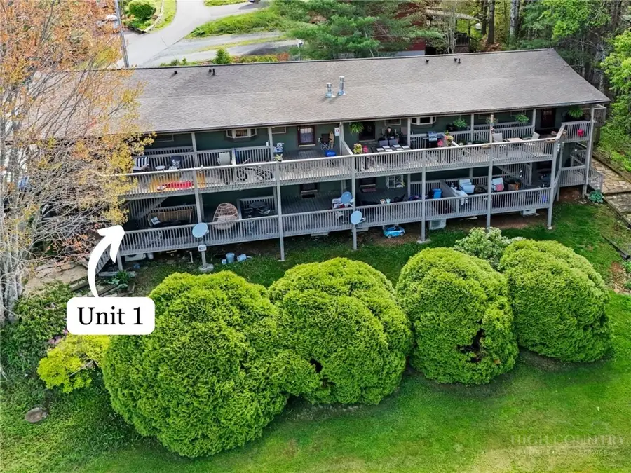 218 Elk Hill Drive #1, Banner Elk, NC 28604 - #2