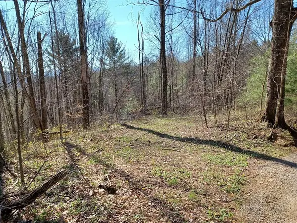 TBD Ed Vanover Road, Creston, NC 28615