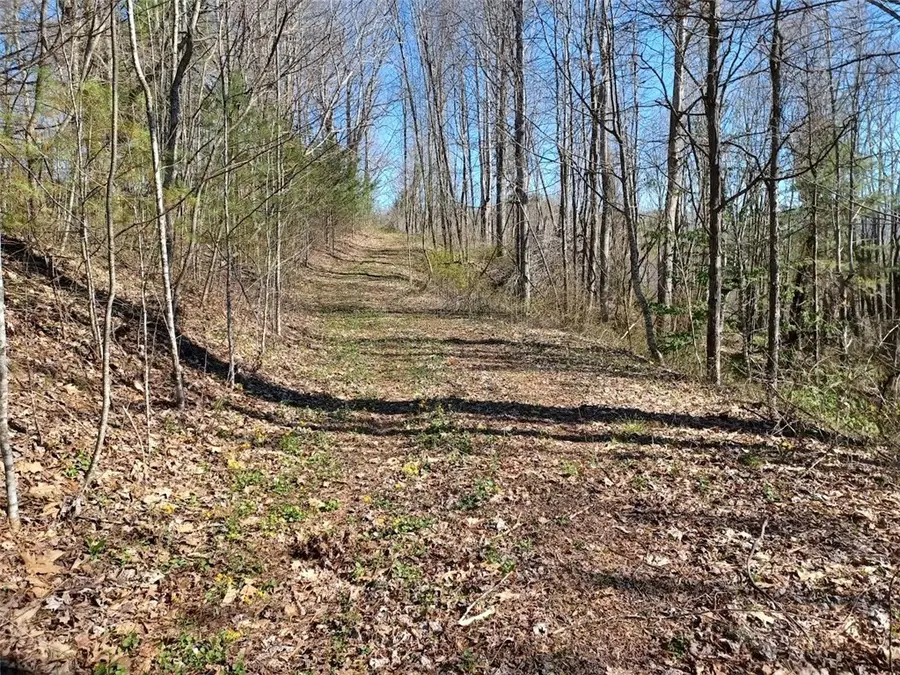 TBD Ed Vanover Road, Creston, NC 28615 - #2