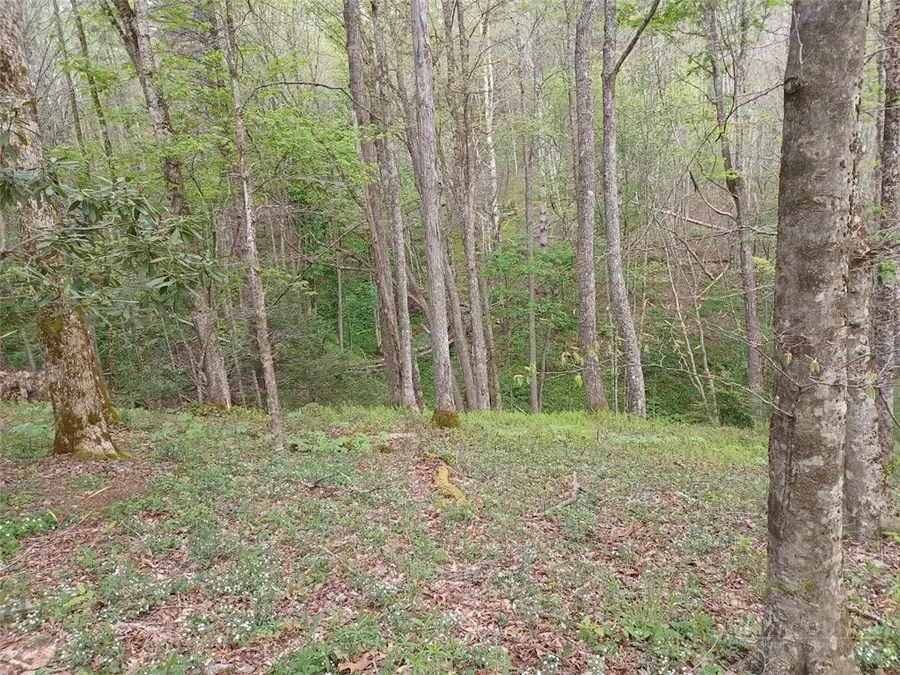 TBD Ed Vanover Road, Creston, NC 28615 - #3