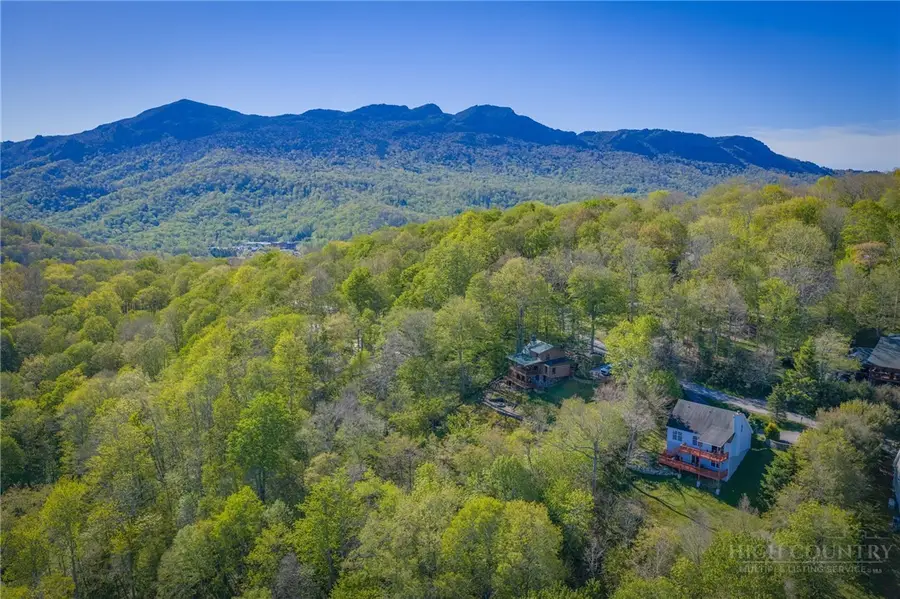 162 Rock Spring Circle, Sugar Mountain, NC 28604 - #3