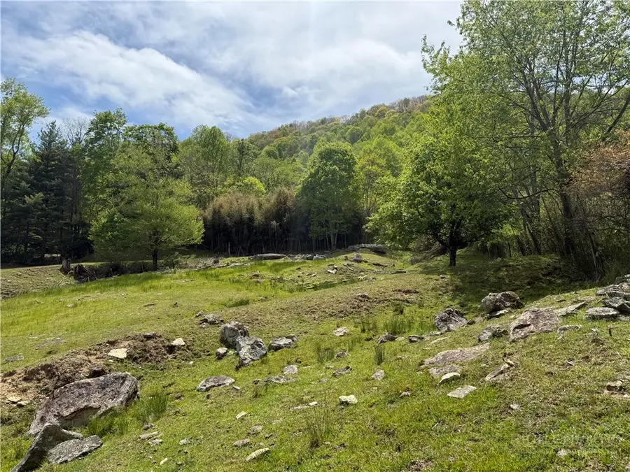 TBD Spice Creek Road, Banner Elk, NC 28604 - #3