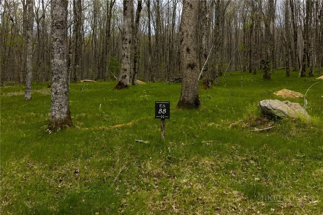 ES-88 Lands End Trail, Beech Mountain, NC 28604 - #1