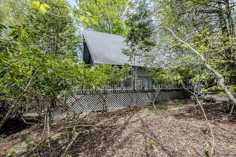 107 & 109 Shagbark Road, Beech Mountain, NC 28604 - #3