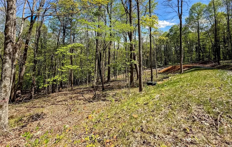 TBD Maple Leaf Road, West Jefferson, NC 28694 - #3