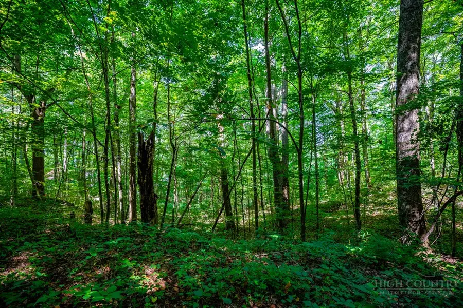 Lots 28 and 29 Marta Lane, Zionville, NC 28698 - #2