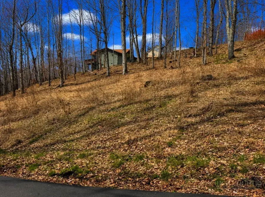 Lot 9 Harley Perry Road, Zionville, NC 28698 - #3
