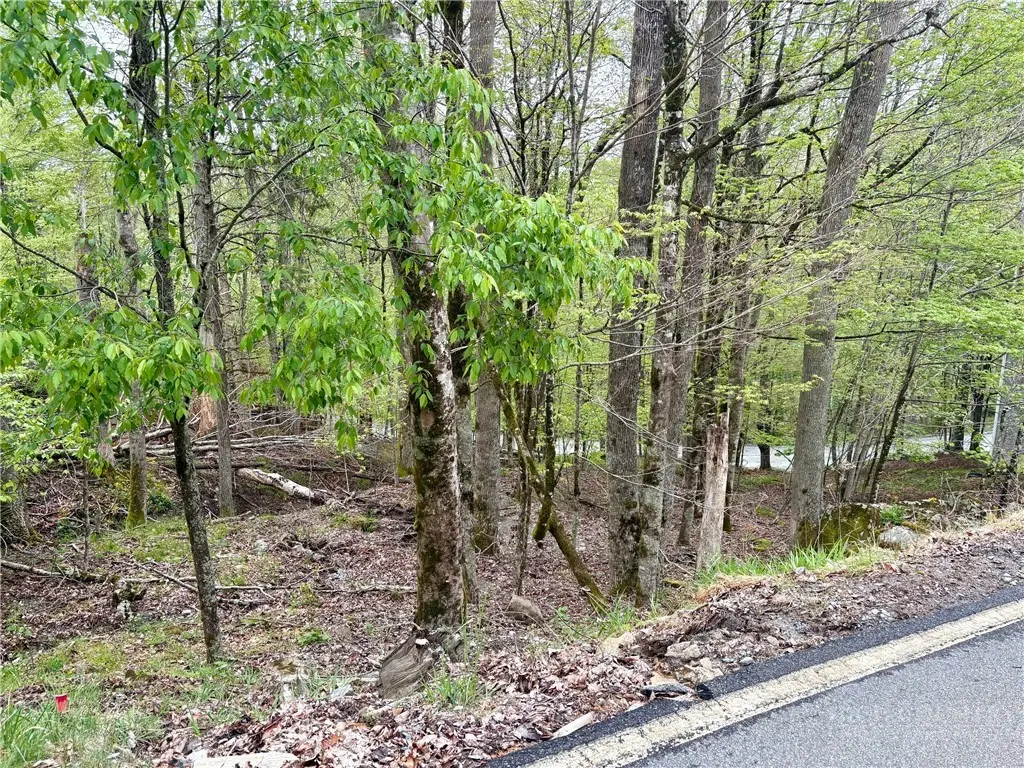 213 Lake Road, Beech Mountain, NC 28604 - #1