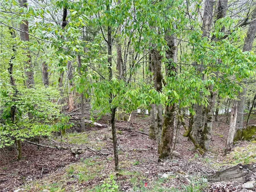 213 Lake Road, Beech Mountain, NC 28604 - #2