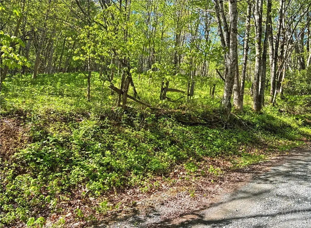 TBD Ed Perry Ln NC Tbd Ed Perry Ln Nc Lane, Banner Elk, NC 28604 - #1