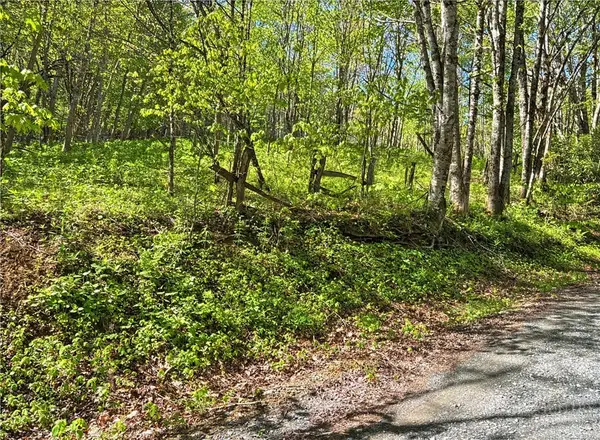 TBD Ed Perry Ln NC Tbd Ed Perry Ln Nc Lane, Banner Elk, NC 28604