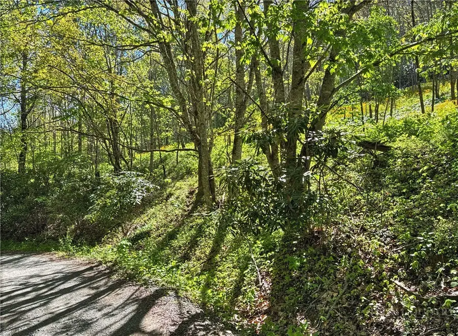 TBD Ed Perry Ln NC Tbd Ed Perry Ln Nc Lane, Banner Elk, NC 28604 - #3