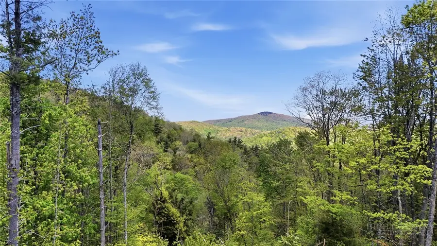 Lot 73 Linhigh Drive, Newland, NC 28657 - #3
