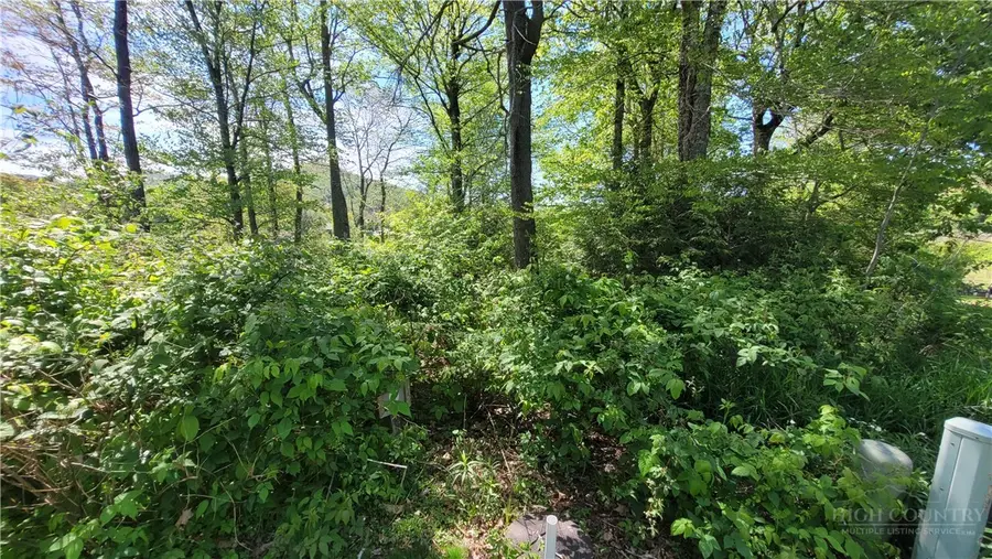 Lot 8 Pasture Lane, Banner Elk, NC 28604 - #3