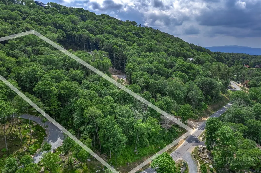 ES-10 Eagle Springs Trail, Banner Elk, NC 28604 - #1